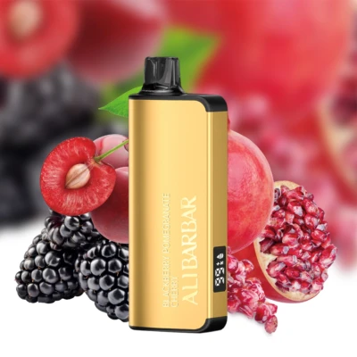 ALIBARBAR INGOT 9000 Puffs Blackberry Pomegranate Cherry Vape