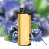 ALIBARBAR INGOT 9000 Puffs Blueberry Blast
