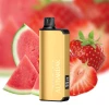 ALIBARBAR INGOT 9000 Puffs Strawberry Watermelon