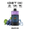 IGET ONE Vape 12000 PUFFS GRAPE ICE